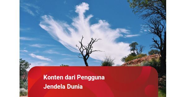 TraveLink: The Bridge to Unforgettable Cilacap Adventures